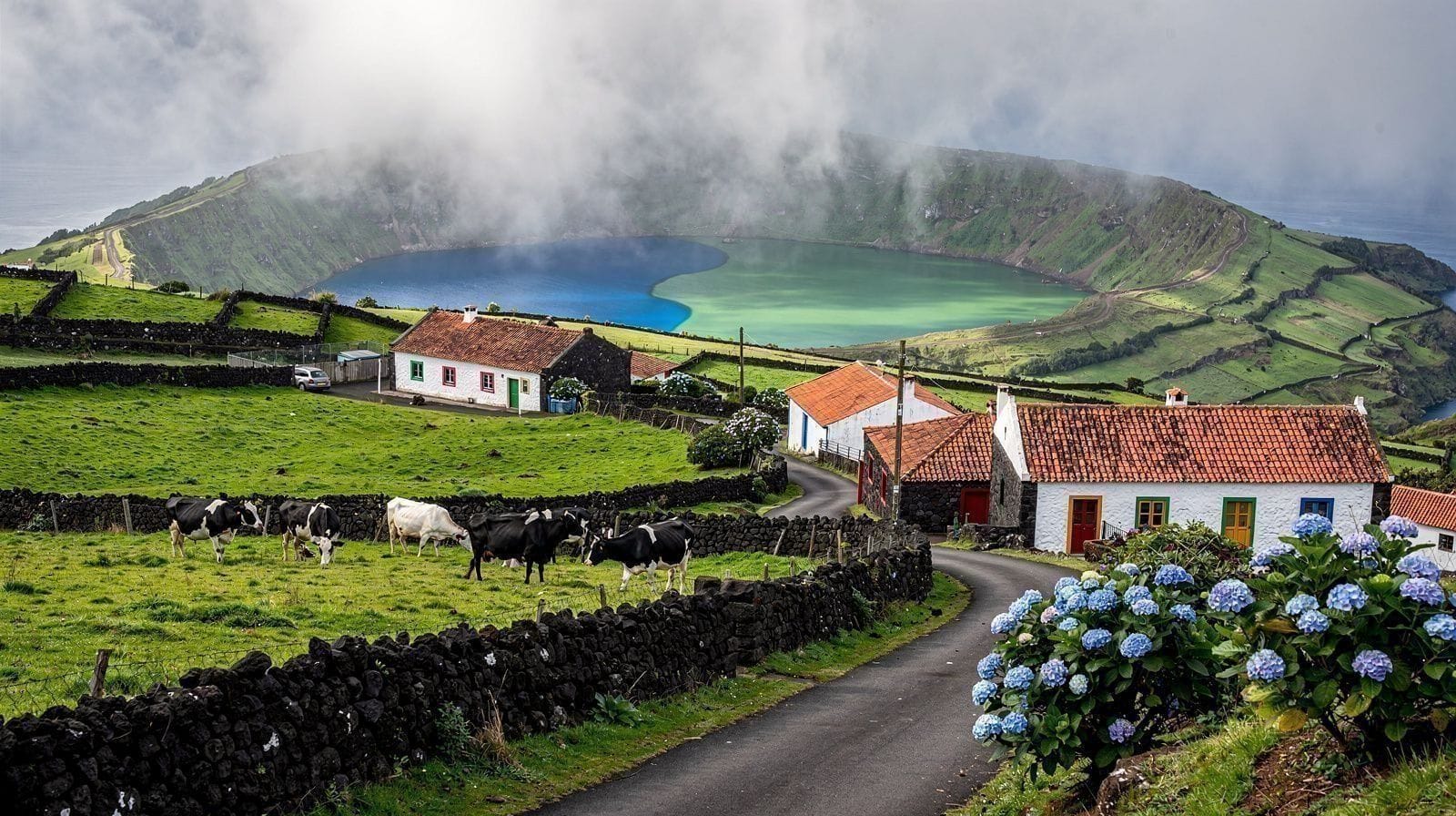 Nager dans l'Atlantique aux Açores