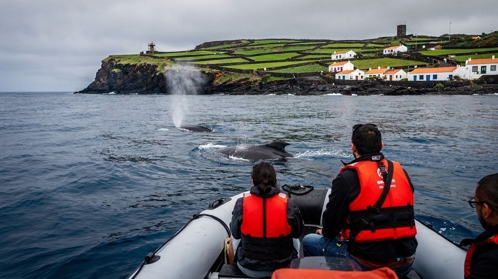 Les derniers baleiniers des Açores