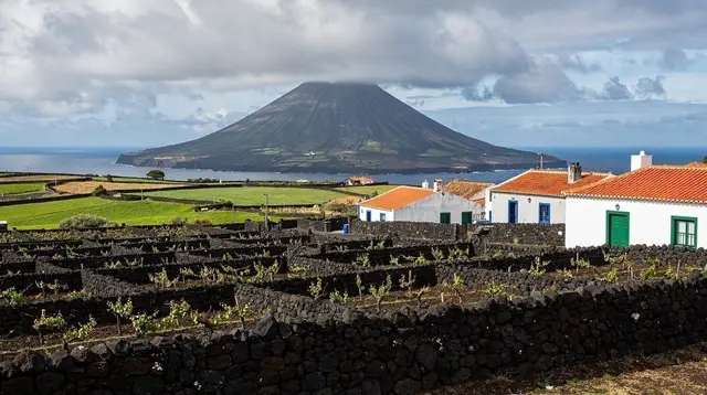 Pico