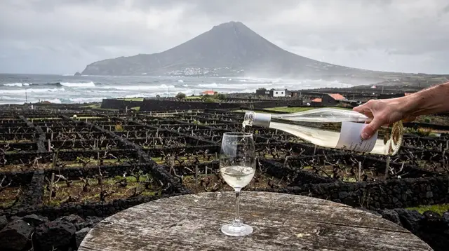 Pico Wine and the UNESCO Vineyard Landscape: A Tasting Guide