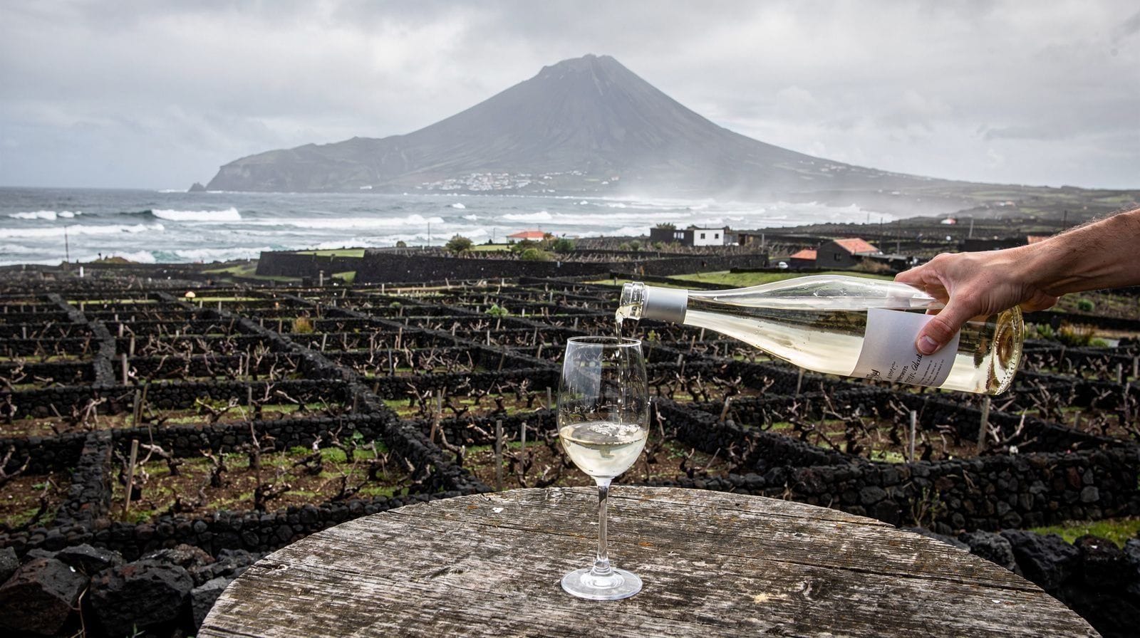 Vino de Pico y el paisaje vitícola Patrimonio de la Humanidad: guía de cata