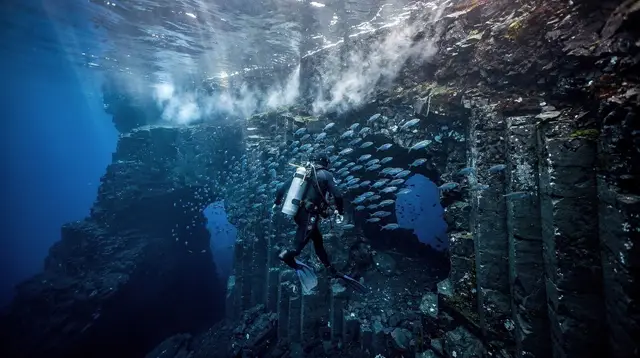 Princess Alice Bank: Diving and Snorkeling with Mobulas in the Azores