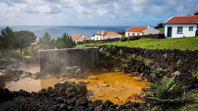 Terra Nostra Park: Furnas's Thermal Pool and Gardens