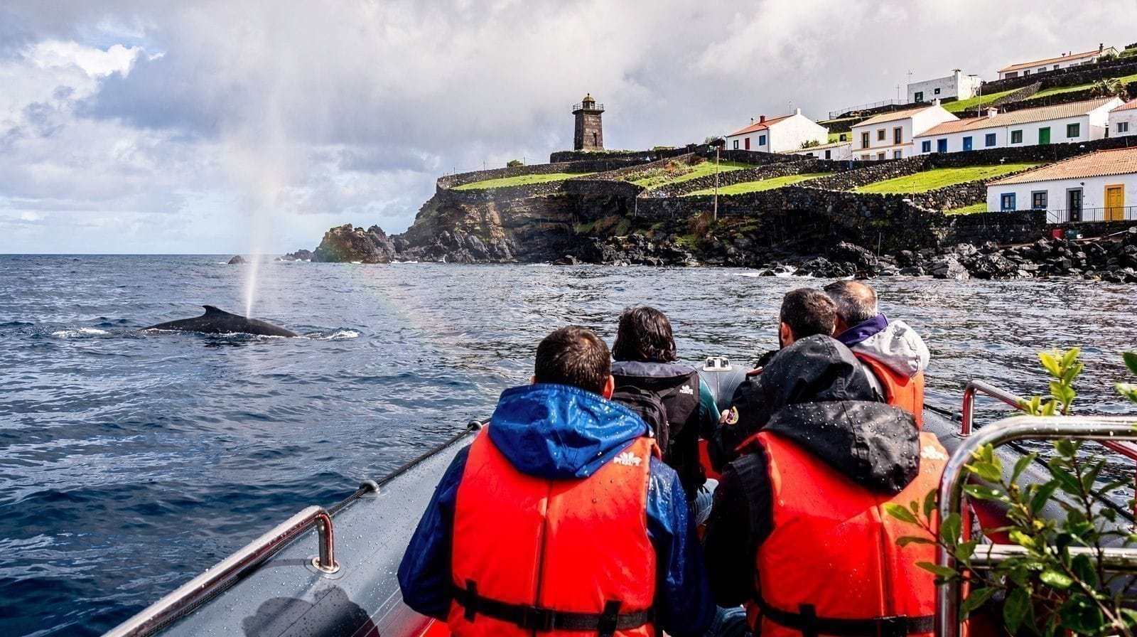 Avistamiento de ballenas en las Azores
