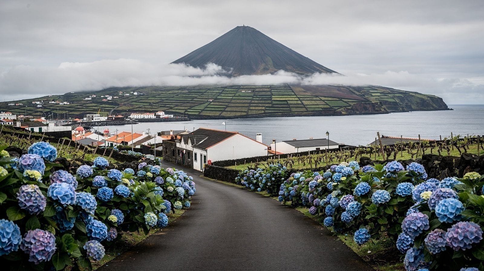 Pico en Faial in 5 dagen